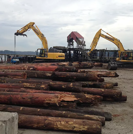 PG Mill Site Pilings