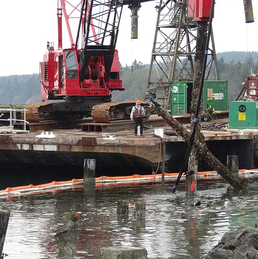 PG Mill Site Pile Removal