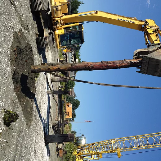 Piling Removal Pilot Demonstration