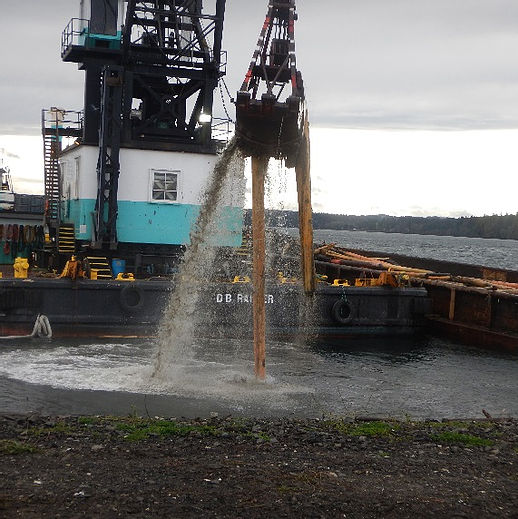 Piling removed during SMA-2 dredging